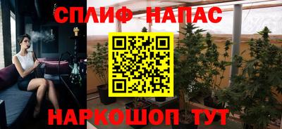 jwh Будённовск
