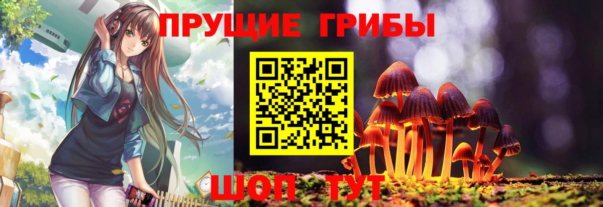 Галлюциногенные грибы MAGIC MUSHROOMS  Псилоцибиновые грибы Psilocybine cubensis  Кунгур  Вход с VPN 